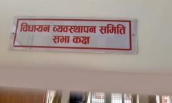 निजामती विधेयकमा ‘कुलिङ अफ पिरियड’ राख्नेमा सहमति जुट्यो