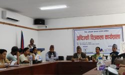 थारु अष्टिम्की चित्रकला कार्यशाला सम्पन्न