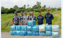 सप्तरीको पातोबाट ३९६ किलो गाँजा बरामद