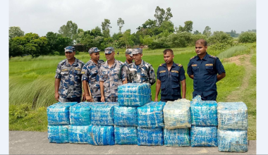 सप्तरीको पातोबाट ३९६ किलो गाँजा बरामद