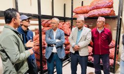 व्यासको चिस्यान केन्द्रमा बीउ आलु भण्डारण नि:शुल्क