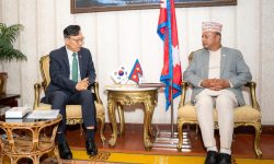 ऊर्जामन्त्री खड्कासँग दक्षिण कोरियाली राजदूतबीच शिष्टाचार भेट