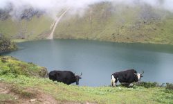 मौसमअनुसार परिवर्तन हुने ताप्लेजुङको ‘छ्यो थाङ्गी छ्यो पोखरी’