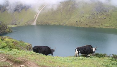 मौसमअनुसार परिवर्तन हुने ताप्लेजुङको ‘छ्यो थाङ्गी छ्यो पोखरी’