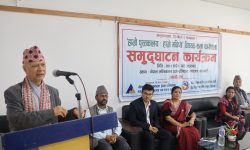 चित्रकला र पुस्तकालय एकापसमा परिपूरक : मन्त्री पन्त