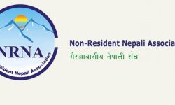 एनआरएनए उच्चस्तरीय समितिले श्रेष्ठ नेतृत्वको कार्यसमितिलाई नगद र जिन्सी हस्तान्तरण गर्दै