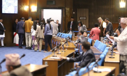 प्रतिनिधिसभा बैठक रास्वपा र राप्रपाद्वारा बहिस्कार