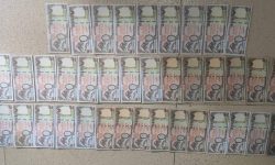 ३८ थान नक्कली नोटसहित दुई जना पक्राउ