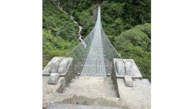 झोलुङ्गे पुलले सहज बन्यो यात्रा