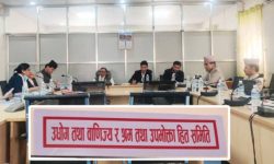 उद्योग समितिद्वारा स्थलगत अध्ययन प्रतिवेदन पारित