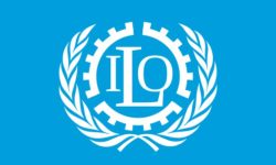 सन् २०२५ मा १.५ मिलियन अफगानी निर्वासित हुने आइ ओ एमको चेतावनी