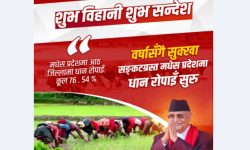 सरकारले तराईमा सिँचाइको स्थायी समाधान खोज्ने