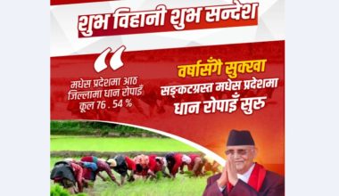 सरकारले तराईमा सिँचाइको स्थायी समाधान खोज्ने