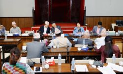 भूमि विधेयकका संशोधित दफा अध्ययन गर्न सांसदलाई दुई दिनको समय