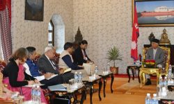 राष्ट्रपति पौडेलसँग विदेशसचिव मिश्रीको शिष्टाचार भेट