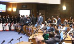 भिजिट भिसा प्रकरणमा उच्चस्तरीय छानविन समिति गठन गर्नुपर्ने माग राख्दै रास्वपा र राप्रपाले गरे संसद बहिष्कार