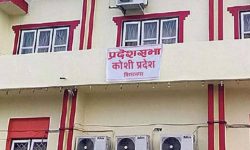 सरकारी कामकाजको भाषामा वान्तवा र चाम्लिङलाई समेट्न माग