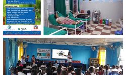 मेटलाइफ नेपालद्वारा ग्रामीण क्षेत्रमा सर्पदंशको जोखिम नियन्त्रण गर्नका लागि सहयोग