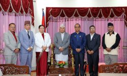 विद्यालय शिक्षा विधेयकका प्रावधान पुनर्विचार गर्न राष्ट्रपति समक्ष नेसनल प्याब्सनको लिखित माग