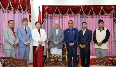 विद्यालय शिक्षा विधेयकका प्रावधान पुनर्विचार गर्न राष्ट्रपति समक्ष नेसनल प्याब्सनको लिखित माग