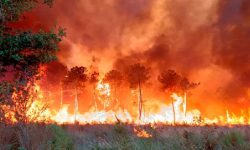 आगलागीबाट दुई घर जलेर नष्ट