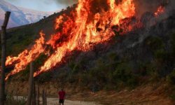 दक्षिणी युरोपमा तातो लहर र जङ्गल आगलागीले जनजीवन प्रभावित