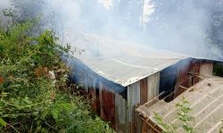 करेन्ट सर्ट भएर आगलागी, ५० बाख्रा मरे