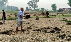 अधियाँ खेतीमै निर्भर छ भूमिहीन परिवार