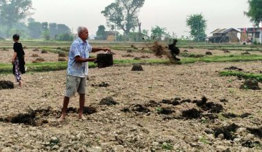 अधियाँ खेतीमै निर्भर छ भूमिहीन परिवार