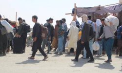 अफगान शरणार्थीको घरफिर्ती जारी, पाकिस्तान र इरानबाट व्यापक आगमन