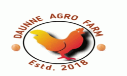 एक वर्षमा एउटै फार्मबाट ११ करोड अण्डा उत्पादन