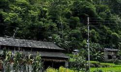 म्याग्दीमा विद्युत् वितरण प्रणाली सुदृढीकरण योजना