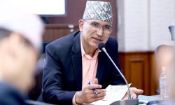 एमालेमा सहमतिका आधारमा नेतृत्व चयन हुने सम्भावना छ : उपाध्यक्ष पौडेल