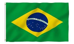 ब्राजिलका पूर्वराष्ट्रपति बोल्सोनारोलाई अदालतको आदेश उल्लङ्घन गरेको आरोपमा नजरबन्दको आदेश