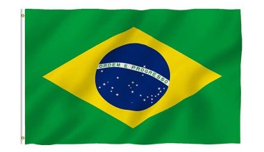 ब्राजिलका पूर्वराष्ट्रपति बोल्सोनारोलाई अदालतको आदेश उल्लङ्घन गरेको आरोपमा नजरबन्दको आदेश