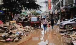चीनमा चिकनगुनिया भाइरसको प्रकोपः हजारौँ बिरामी पर्दा व्यापक उपायहरू