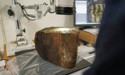 डेनमार्कमा पाषाण युगको डुबेको बस्ती फेला