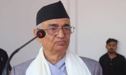 प्रदेश प्रमुख देवकोटाद्वारा हरितालिका तीजको शुभकामना