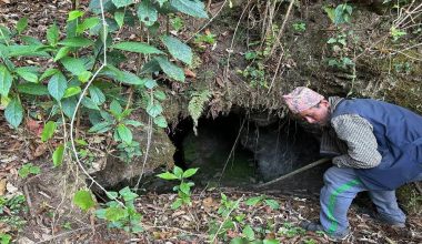 महाशिलावासीद्वारा फलामखानी उत्खनन् गर्न माग