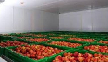 मुस्ताङ र बागलुङमा फलफूल चिस्यानगृह निर्माण