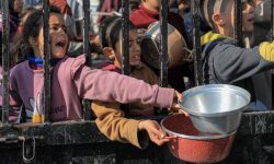 इजरायलमाथि गाजामा खाद्य संकट निम्त्याएको आरोप, संयुक्त राष्ट्रसंघद्वारा चिन्ता व्यक्त