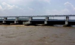 गण्डक नहरमा अतिक्रमण हुँदा किसान समस्यामा