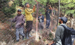अन्नबाली जोगाउन मध्यरातसम्म गस्ती