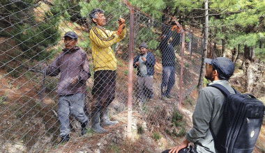 अन्नबाली जोगाउन मध्यरातसम्म गस्ती