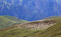 प्लास्टिकजन्य फोहरले बुकीपाटन कुरुप बन्ने खतरा