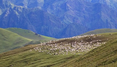 प्लास्टिकजन्य फोहरले बुकीपाटन कुरुप बन्ने खतरा