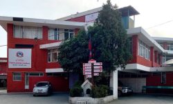 चक्रे मिलनसहितका १९ जनालाई सात दिन हिरासतमा राख्न अनुमति