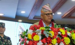 अलैँची उत्पादन बढाउन किसानलाई सहयोग गर्ने मुख्यमन्त्रीको प्रतिबद्धता