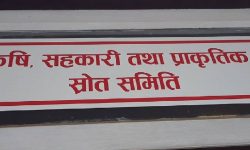 भूमिसम्बन्धी केही नेपाल ऐनलाई संशोधन गर्न बनेको विधेयक, २०८२ सम्बन्धी प्रतिवेदन पारित