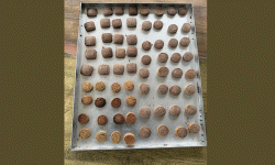 कोदोको बिष्कुट उत्पादन गर्न उद्योग स्थापना